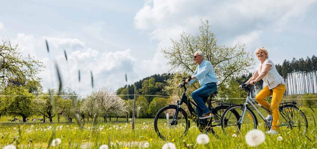 Retired Couple Riding Bicycles